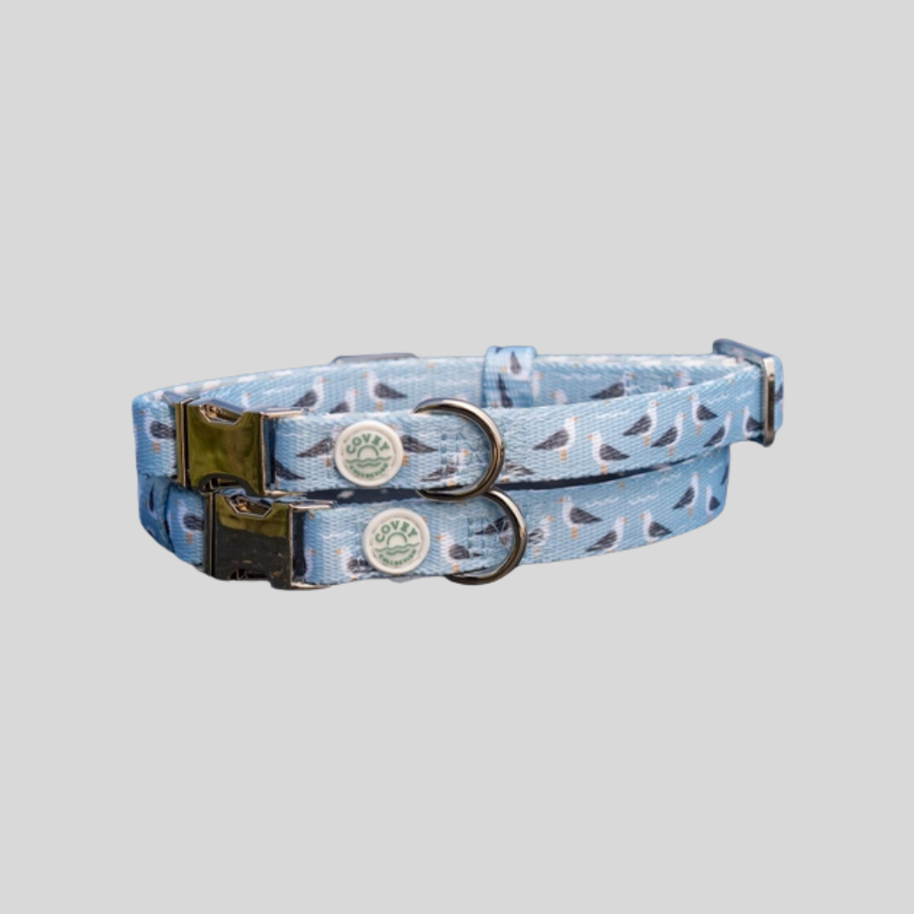 Seabird Dog Collar