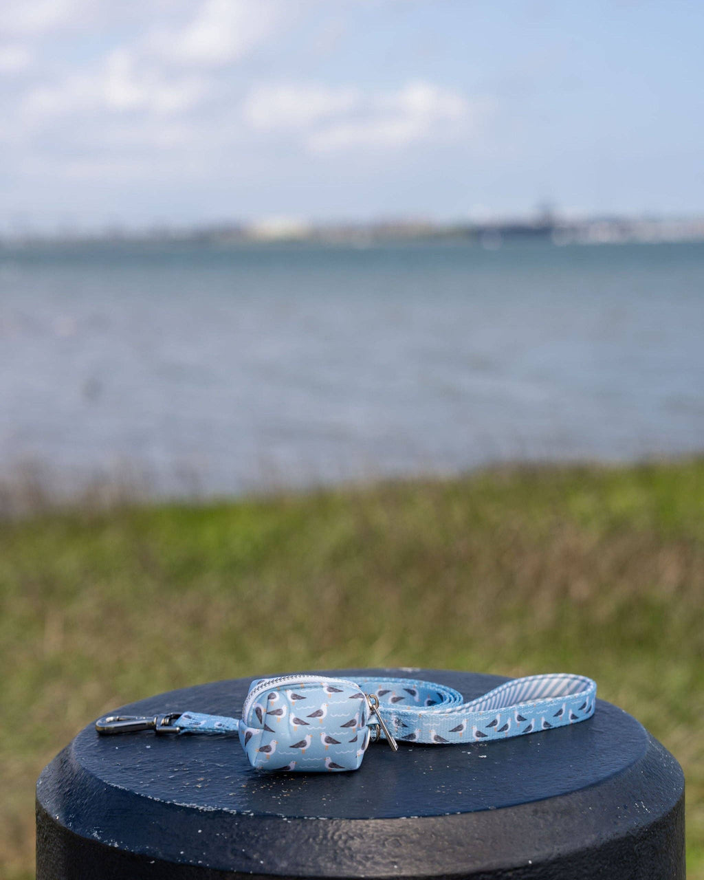 Seabird Leash